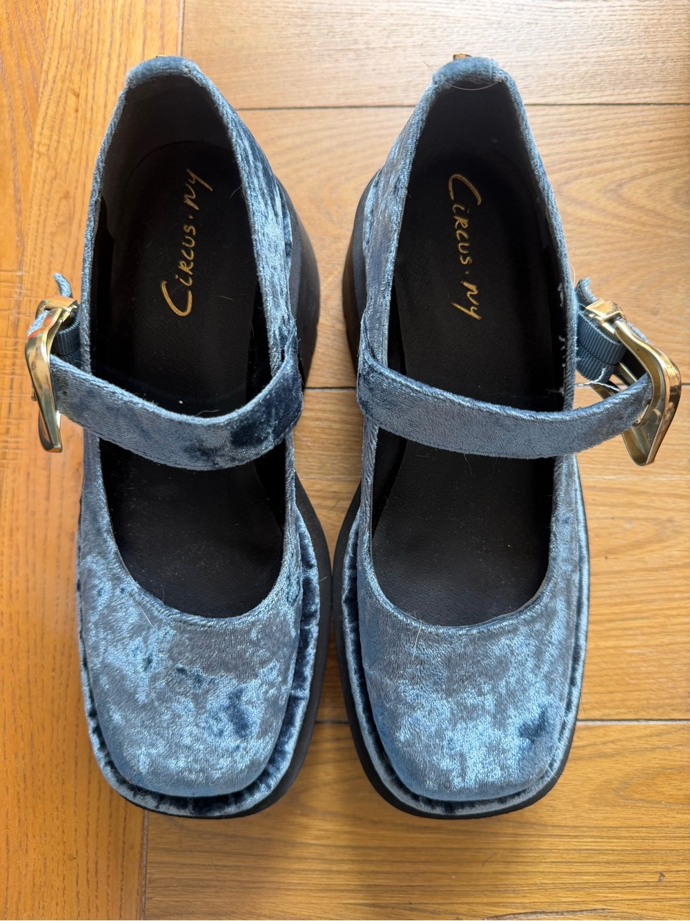 Circus by Sam Edelman Blue Velvet Mary Jane Platforms with Gold Buckles